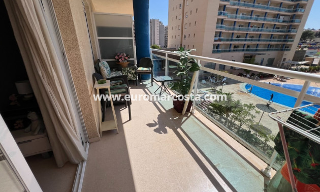 Sale - Apartment / flat - Guardamar del Segura