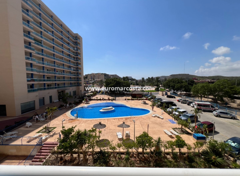 Venta - Apartamento / piso - Guardamar del Segura