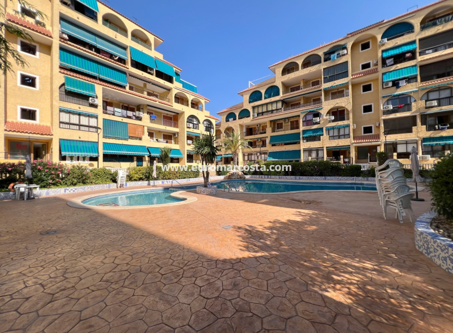 Sale - Apartment / flat - La Mata