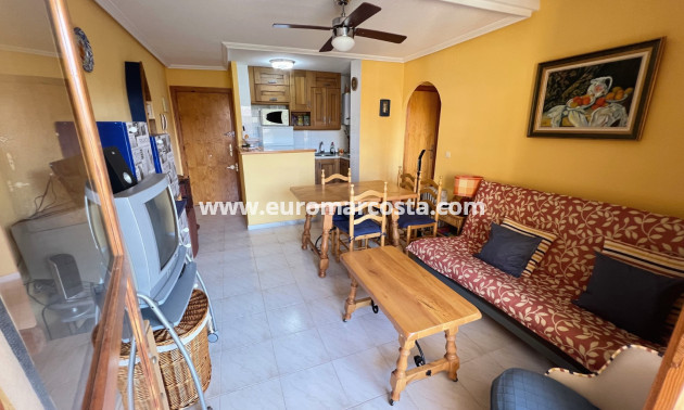 Sale - Apartment / flat - La Mata