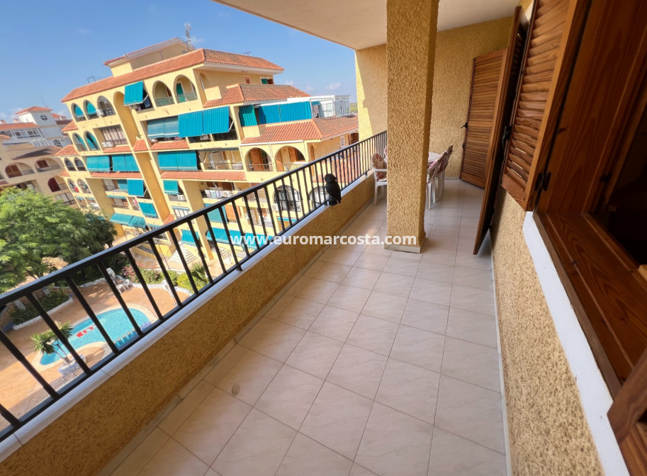 Sale - Apartment / flat - La Mata