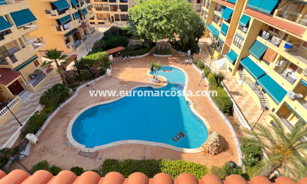 Sale - Apartment / flat - La Mata