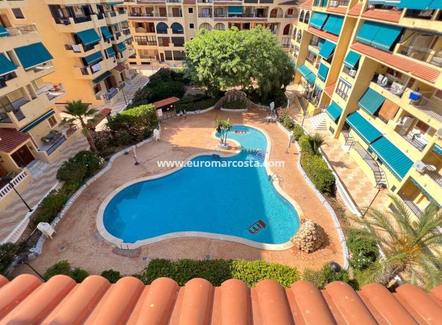 Sale - Apartment / flat - La Mata