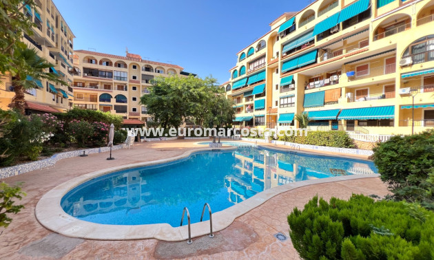 Sale - Apartment / flat - La Mata