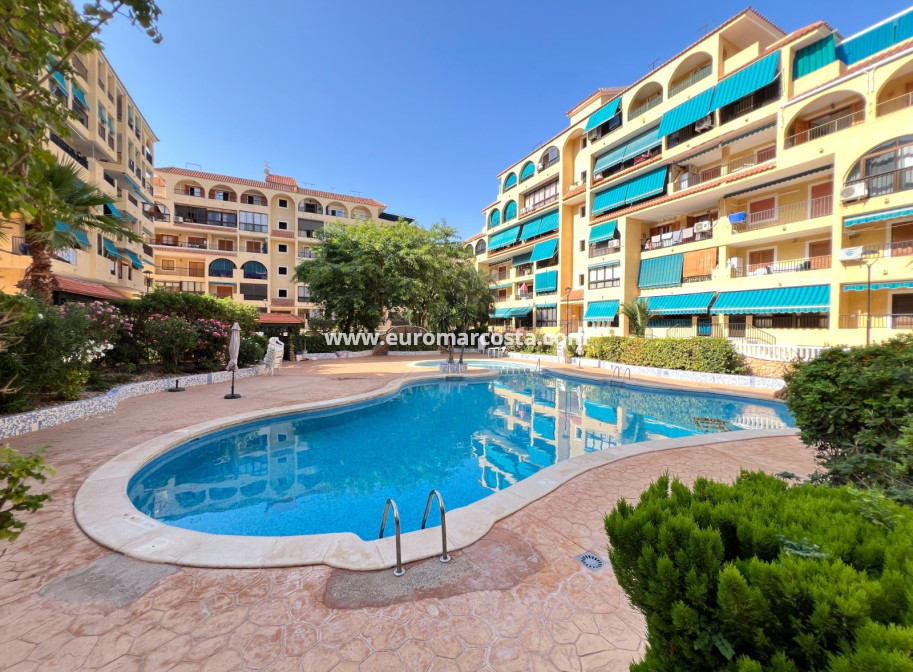 Sale - Apartment / flat - La Mata