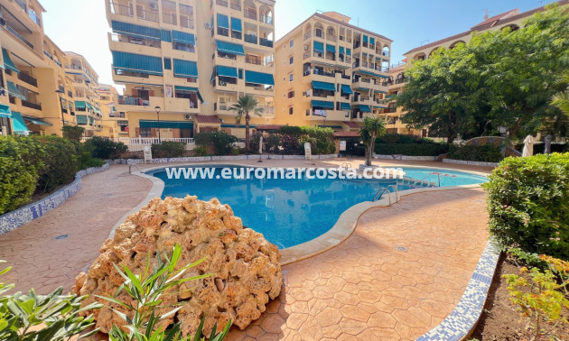 Sale - Apartment / flat - La Mata