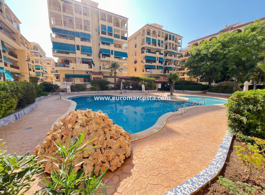 Sale - Apartment / flat - La Mata