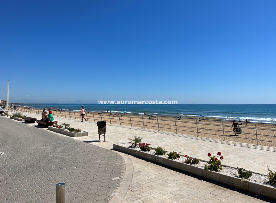 Sale - Apartment / flat - La Mata