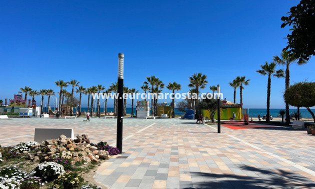 Sale - Apartment / flat - La Mata