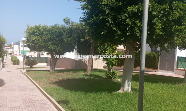 Sale - Bungalow - Torrevieja - TORREVIEJA