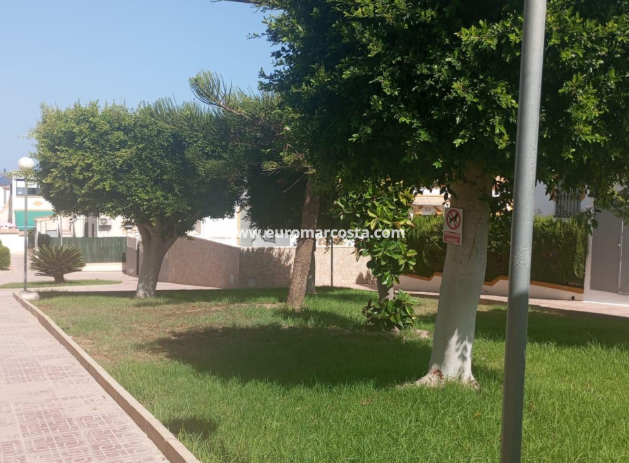 Sale - Bungalow - Torrevieja - TORREVIEJA