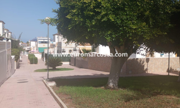 Sale - Bungalow - Torrevieja - TORREVIEJA