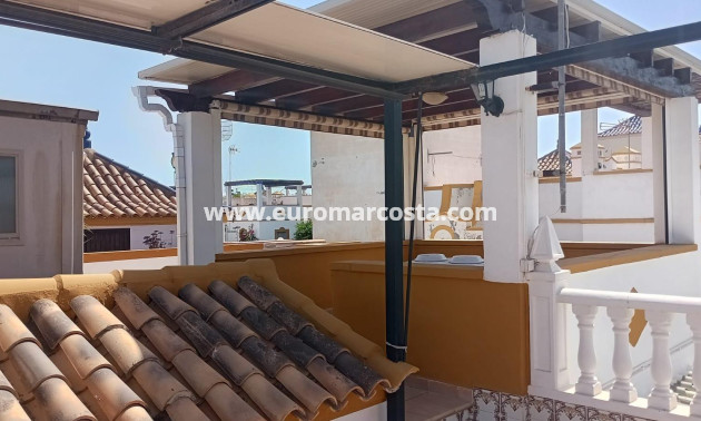 Sale - Bungalow - Torrevieja - TORREVIEJA