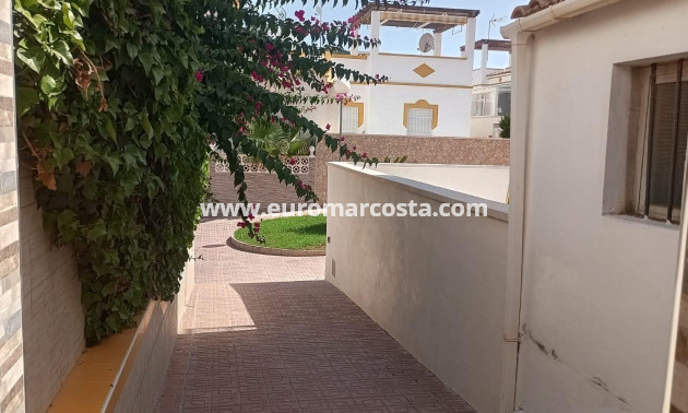 Sale - Bungalow - Torrevieja - TORREVIEJA