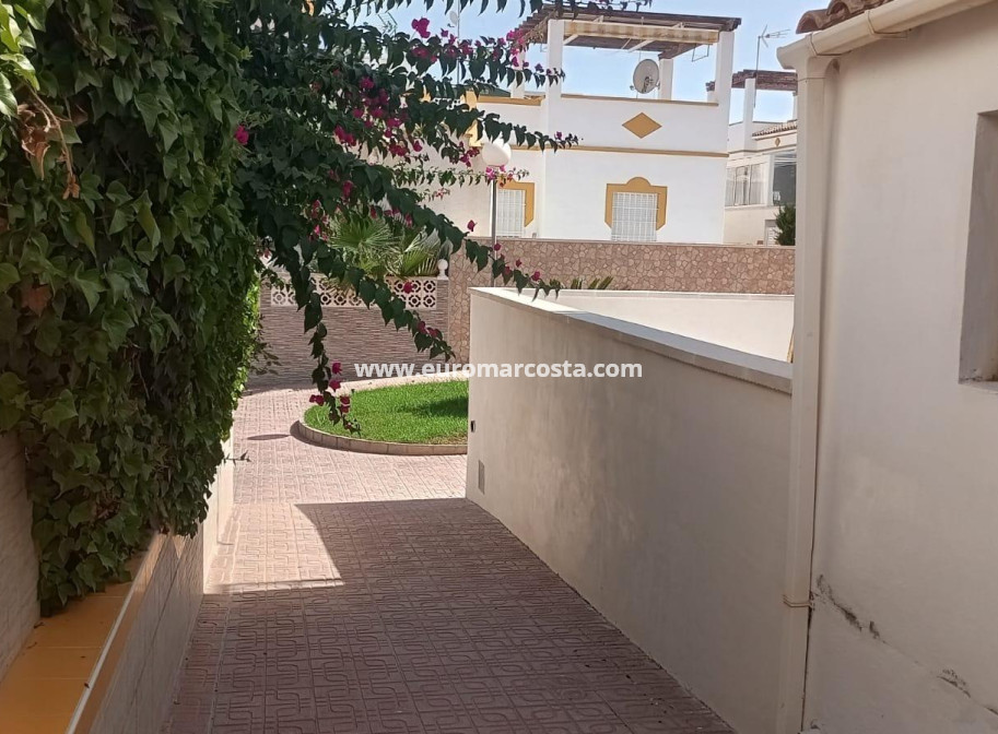 Sale - Bungalow - Torrevieja - TORREVIEJA