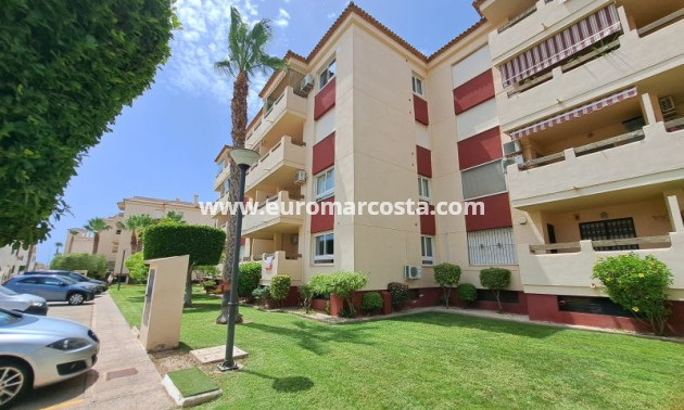 Sale - Apartment / flat - Orihuela Costa