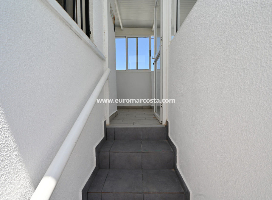 Venta - Bungalow - Torrevieja - TORREVIEJA