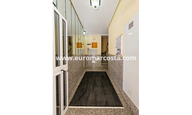 Sale - Apartment / flat - Torrevieja - TORREVIEJA