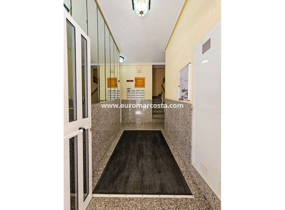 Sale - Apartment / flat - Torrevieja - TORREVIEJA