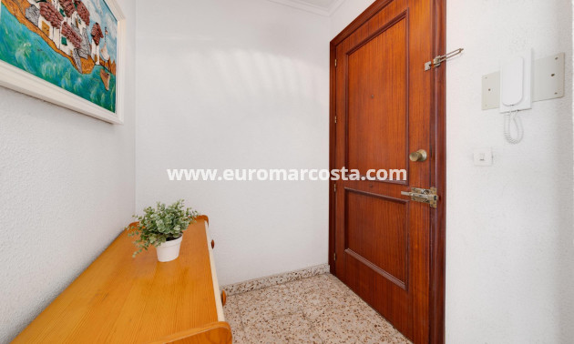 Venta - Apartamento / piso - Torrevieja - TORREVIEJA