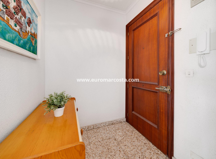 Venta - Apartamento / piso - Torrevieja - TORREVIEJA