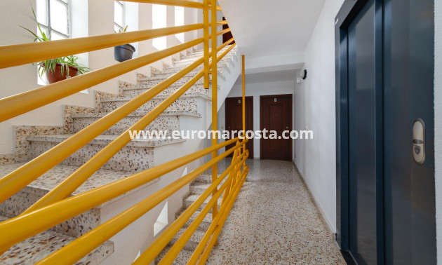 Venta - Apartamento / piso - Torrevieja - TORREVIEJA