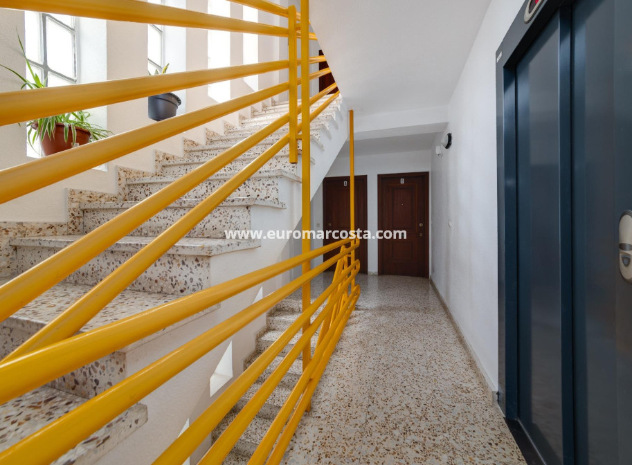 Venta - Apartamento / piso - Torrevieja - TORREVIEJA