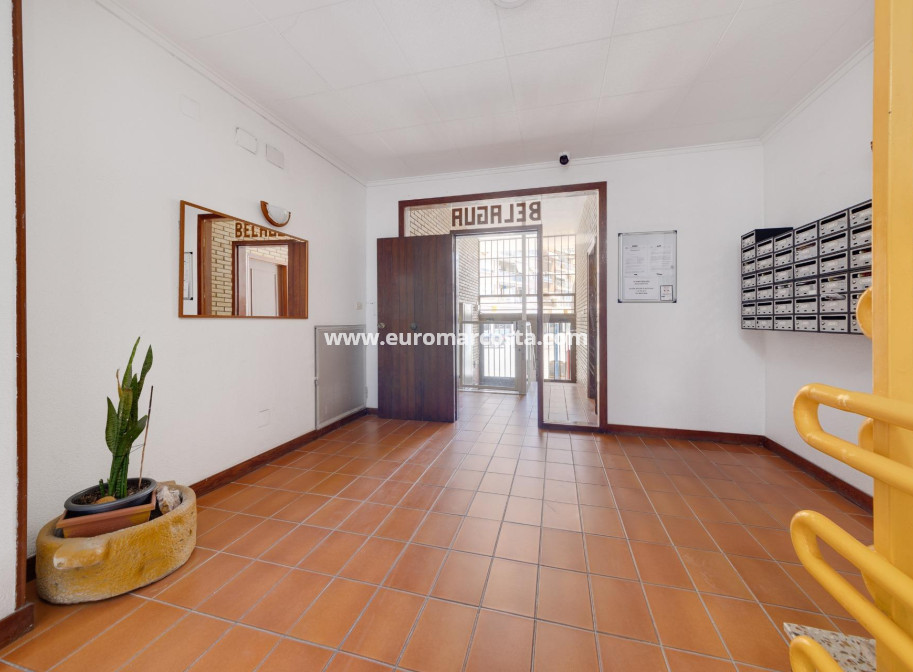 Venta - Apartamento / piso - Torrevieja - TORREVIEJA