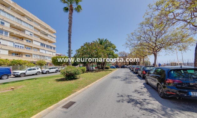 Venta - Apartamento / piso - Torrevieja - TORREVIEJA