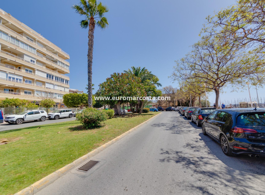 Venta - Apartamento / piso - Torrevieja - TORREVIEJA