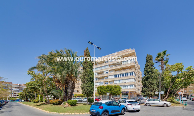 Venta - Apartamento / piso - Torrevieja - TORREVIEJA