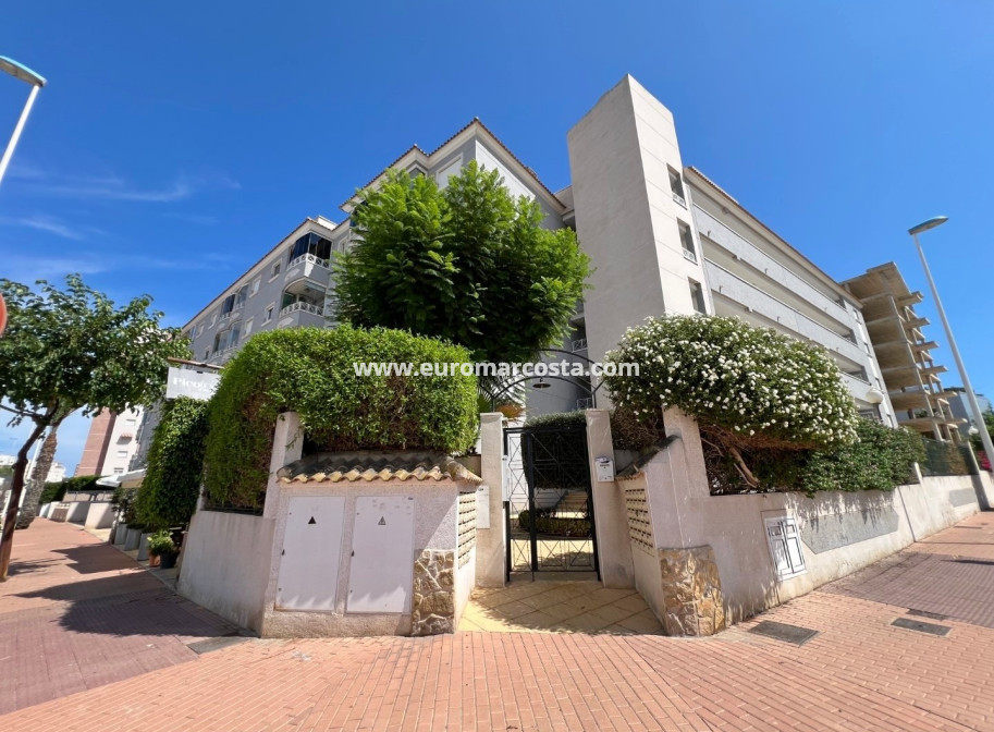 Sale - Apartment / flat - Guardamar del Segura