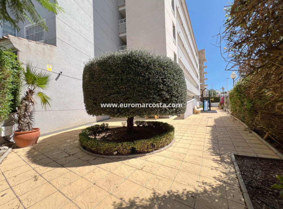 Sale - Apartment / flat - Guardamar del Segura