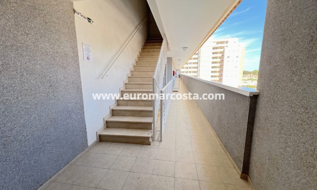 Sale - Apartment / flat - Guardamar del Segura