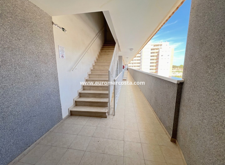 Sale - Apartment / flat - Guardamar del Segura