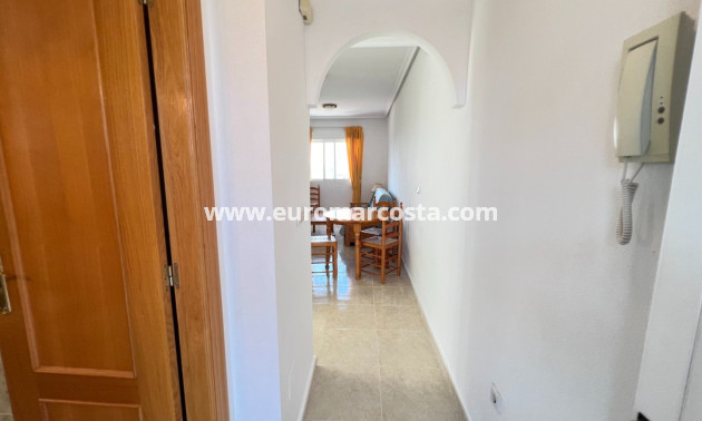 Sale - Apartment / flat - Guardamar del Segura