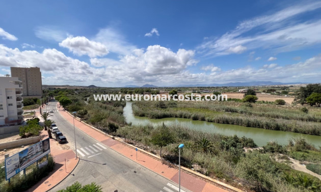 Sale - Apartment / flat - Guardamar del Segura