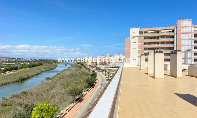 Sale - Apartment / flat - Guardamar del Segura