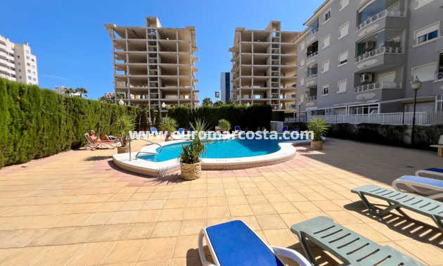 Sale - Apartment / flat - Guardamar del Segura