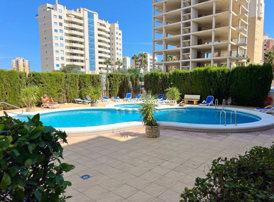 Sale - Apartment / flat - Guardamar del Segura