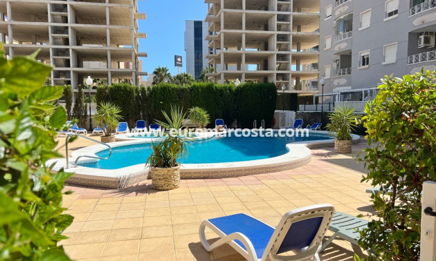 Sale - Apartment / flat - Guardamar del Segura