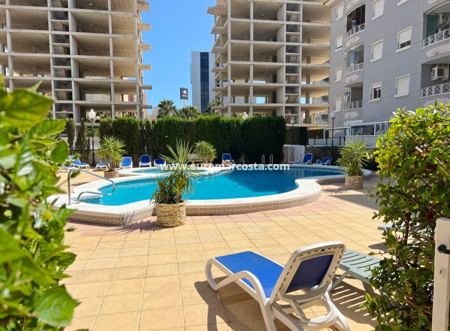 Sale - Apartment / flat - Guardamar del Segura