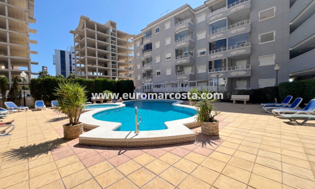 Sale - Apartment / flat - Guardamar del Segura