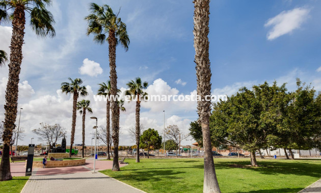 Objekte zum Wiederverkauf - Bungalow - Torrevieja - TORREVIEJA