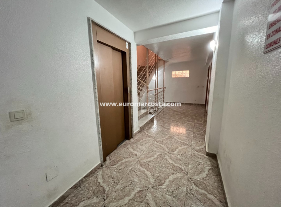 Venta - Apartamento / piso - Torrevieja - TORREVIEJA