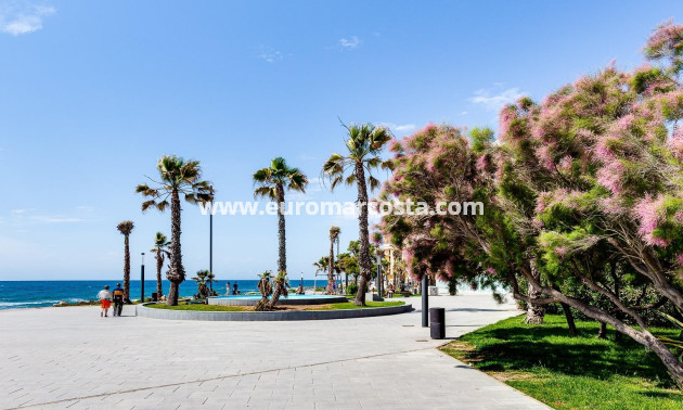 Sale - Apartment / flat - Torrevieja - TORREVIEJA