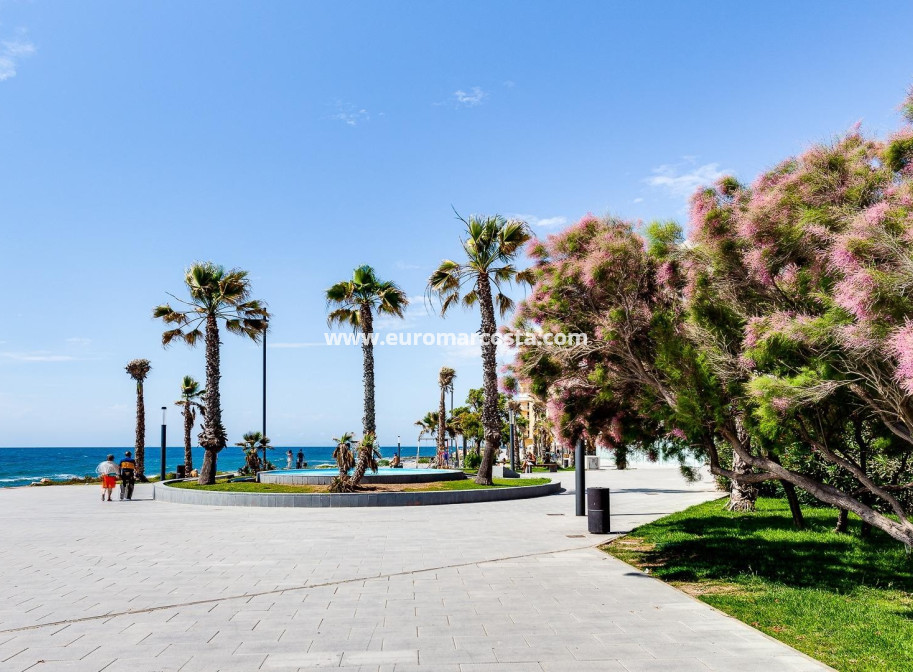 Objekte zum Wiederverkauf - Wohnung - Torrevieja - TORREVIEJA