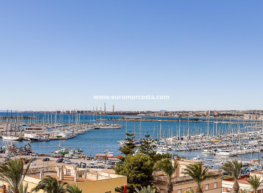 Venta - Apartamento / piso - Torrevieja - TORREVIEJA