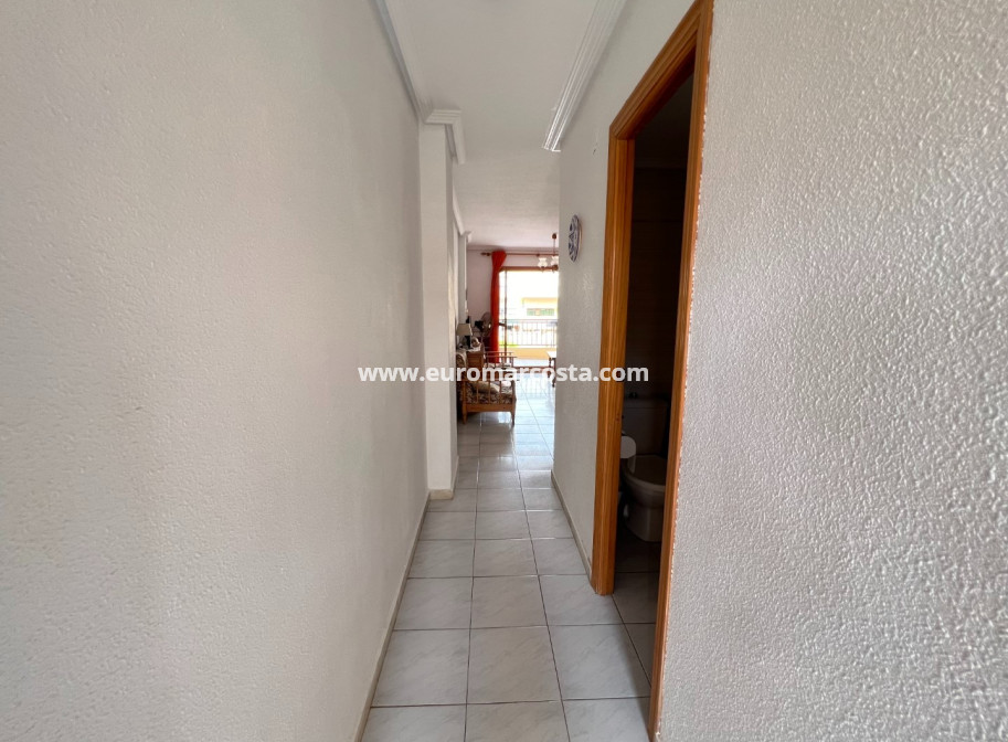 Venta - Apartamento / piso - La Mata