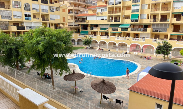 Sale - Apartment / flat - La Mata